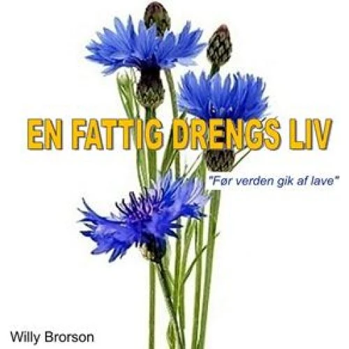 Willy Brorson: En fattig drengs liv - Lydbog