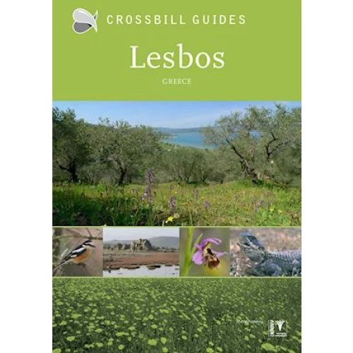 Lesbos - Dirk Hilbers og Alex Tabak - Bog