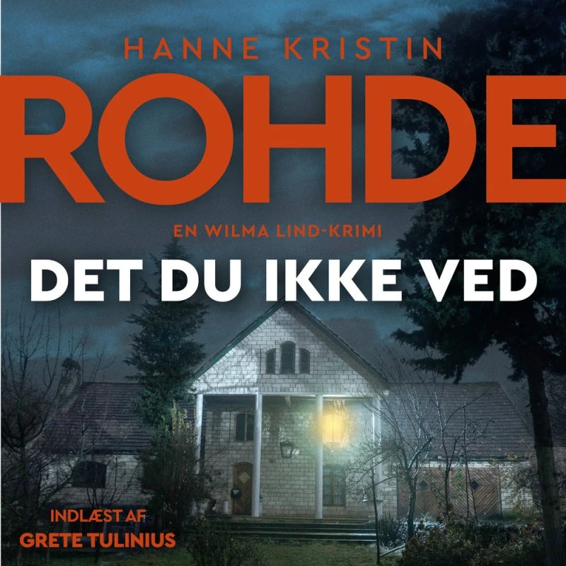Det du ikke ved - Hanne Kristin Rohde (Lydbog)