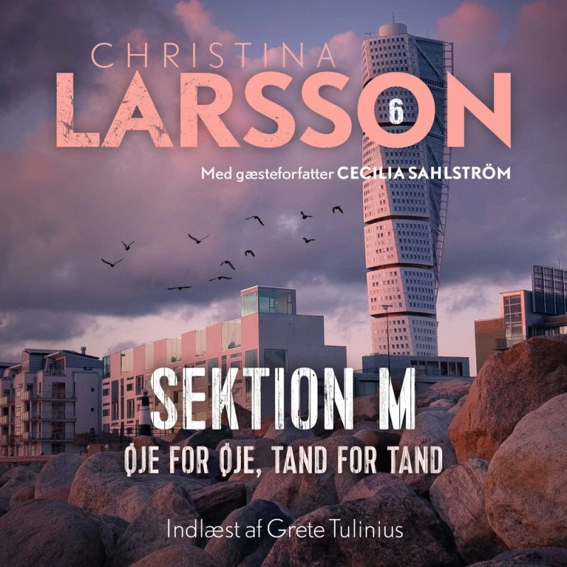 Sektion M - 6 af Christina Larsson & Cecilia Sahlström (Lydbog)