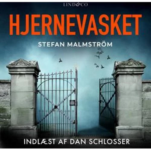 Stefan Malmström: Hjernevasket - Lydbog