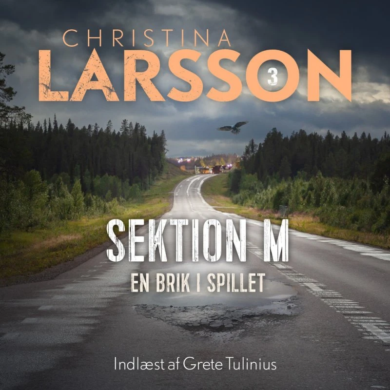 Sektion M - 3 af Christina Larsson (Lydbog)
