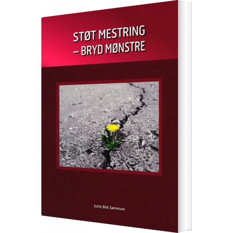 Støt Mestring af Jytte Birk Sørensen - Bog
