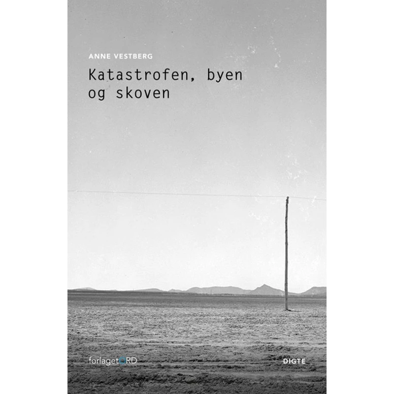 Katastrofen, byen og skoven - Anne Vestberg