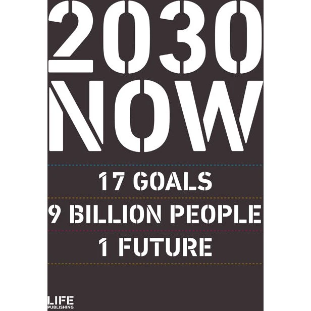 2030 NOW (UK) - Susanne Sayers - Engelsk bog