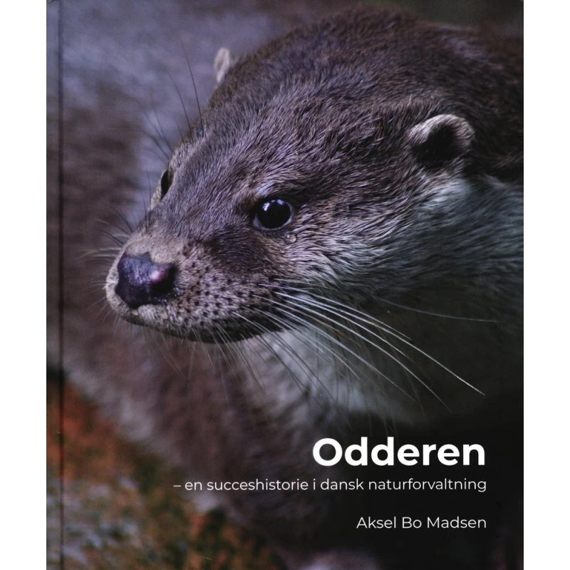 Odderen af Aksel Bo Madsen