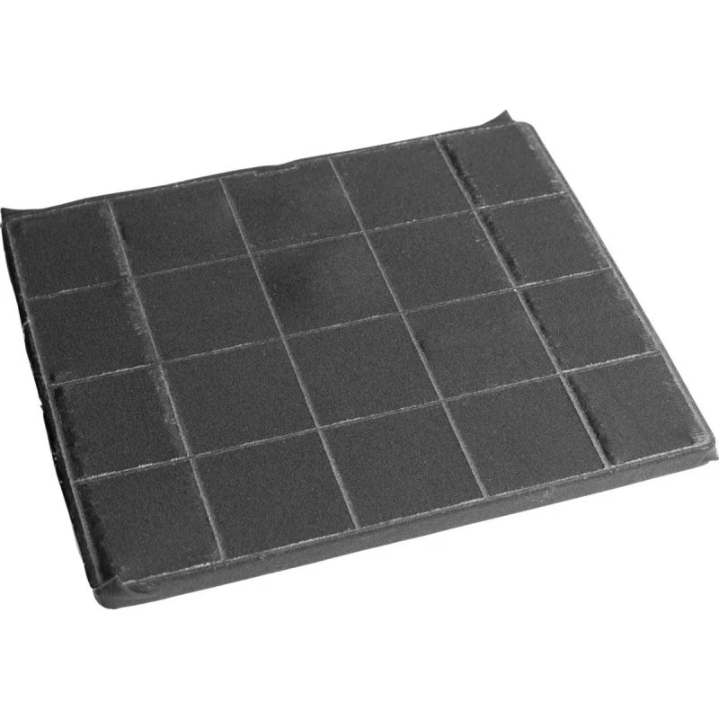 Electrolux ECFBPL02 Lugtfilter - Sort