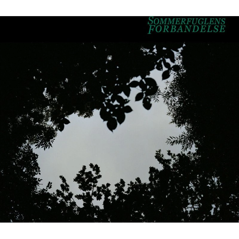Sommerfuglens forbandelse - Nynne Roberta Pedersen
