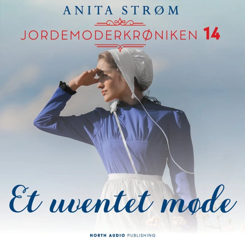 Et uventet møde - Anita Strøm (Lydbog)