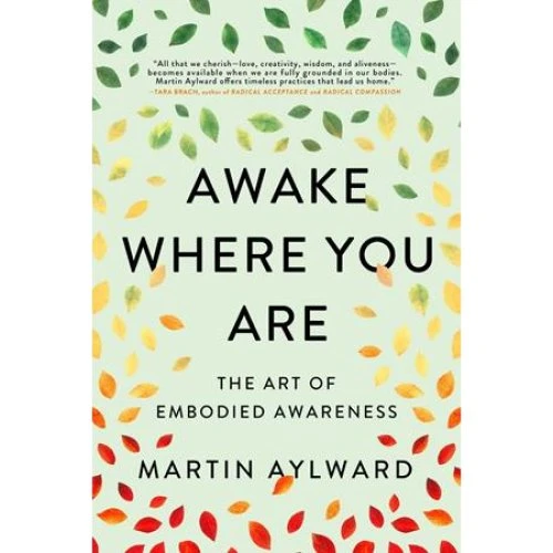 Martin Aylward - Awake Where You Are - Bog