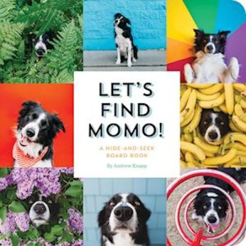 Andrew Knapp: Let's Find Momo! - Billedbog til børn
