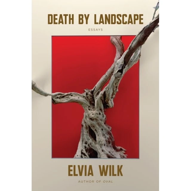 Death by Landscape - Elvia Wilk (Bog)