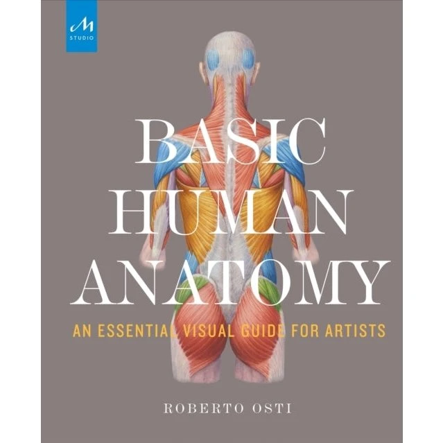 Roberto Osti: Basic Human Anatomy