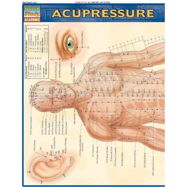 Acupressure - Illustreret guide af Barcharts og Vincent Perez