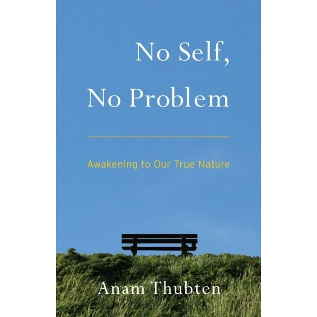 No Self No Problem - Trykt bog