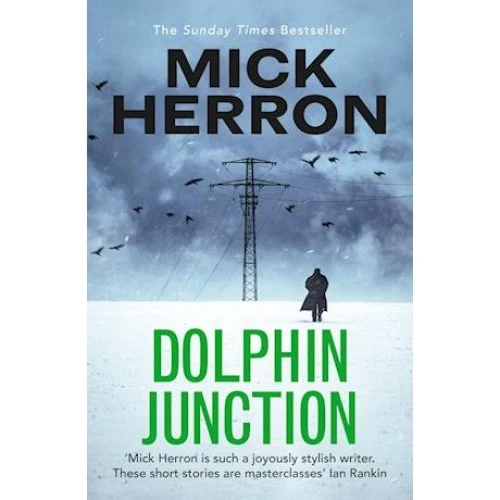Mick Herron: Dolphin Junction - Bog