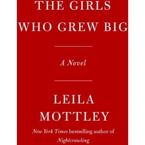 Girls Who Grew Big Graphic Novel