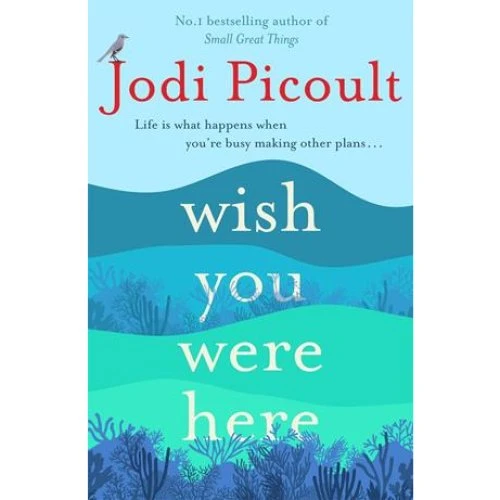 Jodi Picoult - Wish You Were Here (Bog)