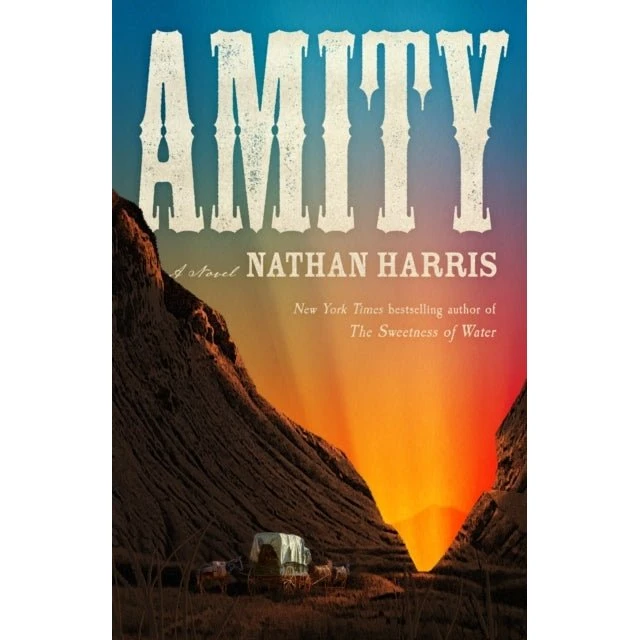Amity af Nathan Harris - Bog
