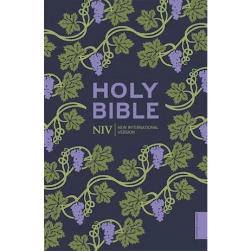NIV Holy Bible - New International Version (Hodder Classics)