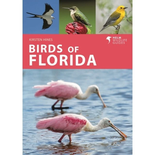 Birds of Florida - Kirsten Hines