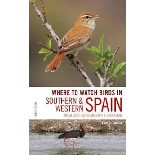 Where to Watch Birds in Southern and Western Spain - Andrew Paterson