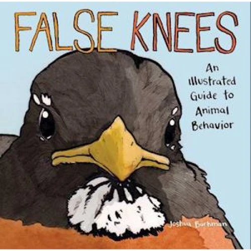 Joshua Barkman: False Knees - Bog