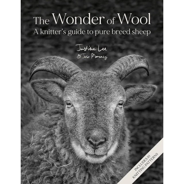 The Wonder of Wool - Justine Lee & Jess Morency (Bog)