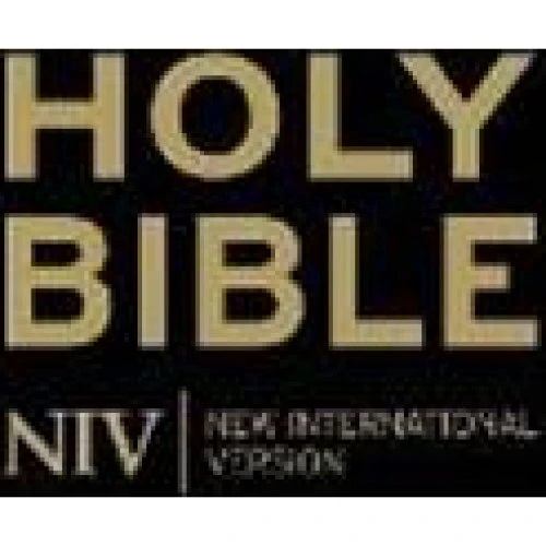 NIV Holy Bible - New International Version