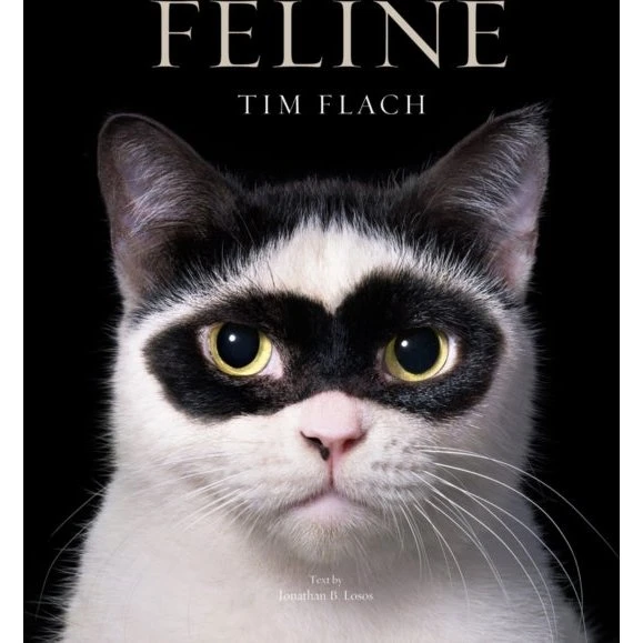 Tim Flach: Feline - En smuk fotobog om katte