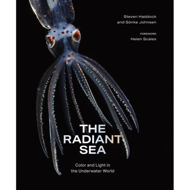 The Radiant Sea - Sönke Johnsen & Steven Haddock