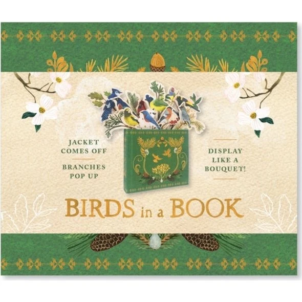 Birds in a Book: En dekorativ pop-up bog af Lesley Earle