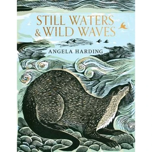 Angela Harding: Still Waters & Wild Waves - Bog
