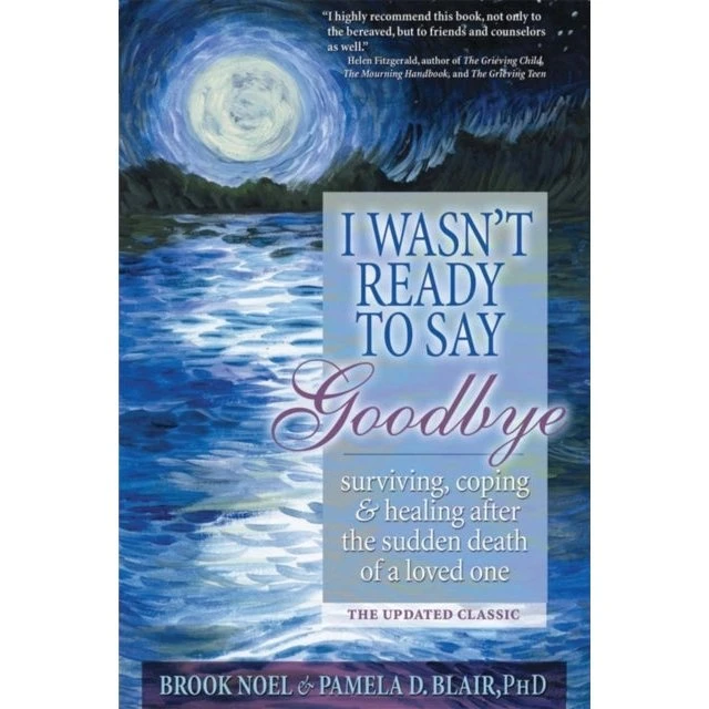 I Wasn't Ready to Say Goodbye - Blake Noel & Brook Noel