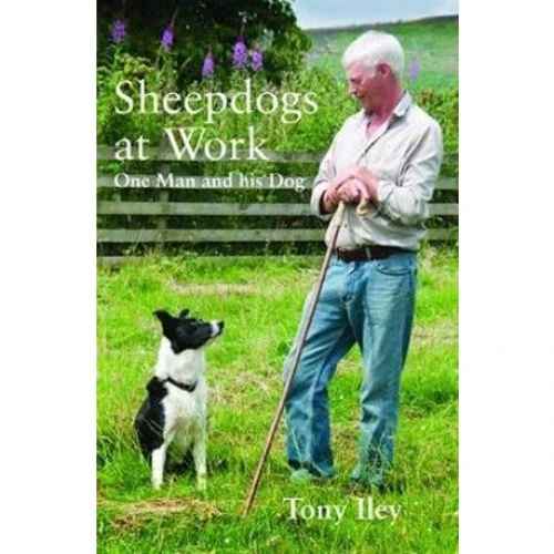 Tony Iley: Sheepdogs at Work - Bog