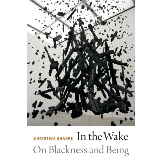 In the Wake - Christina Sharpe