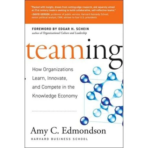 Amy C. Edmondson: Teaming - Bog