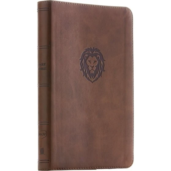 Thomas Nelson NKJV Thinline Bible Youth Edition - Brun