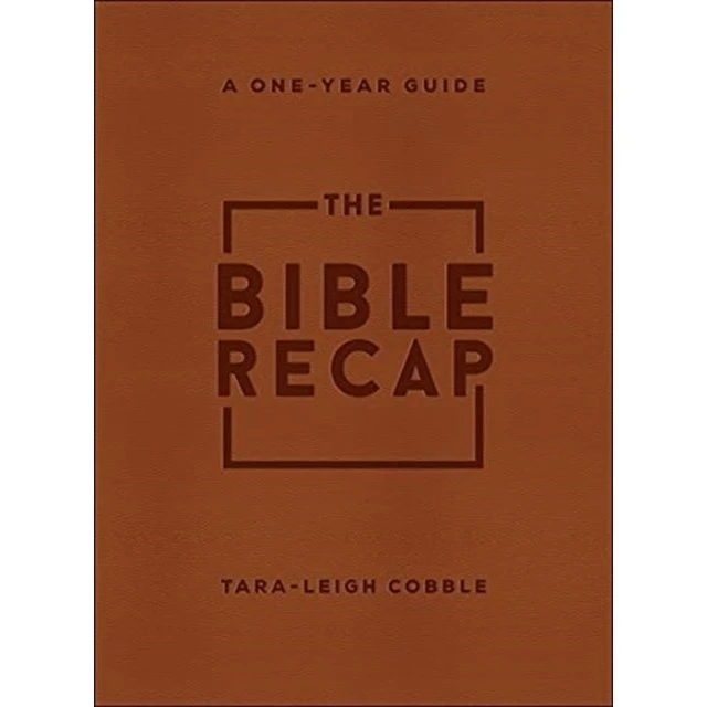 The Bible Recap: Deluxe Edition - Brun Imitation Leather