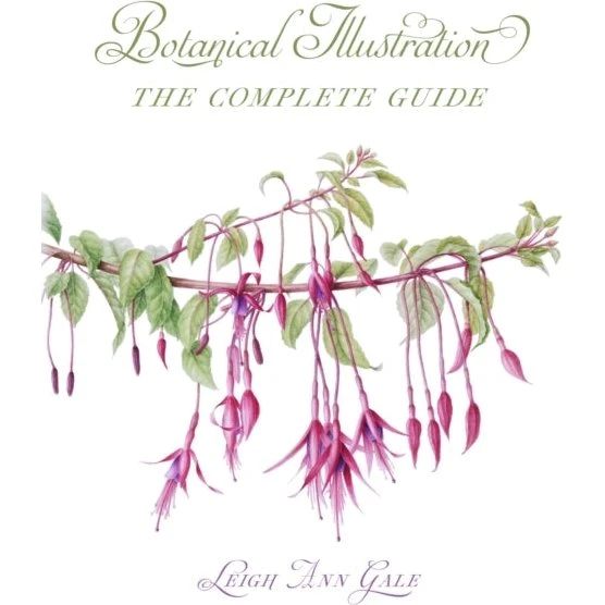 Botanical Illustration - Leigh Ann Gale
