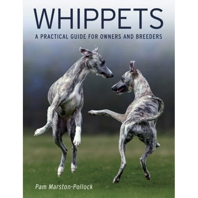 Whippets af Pam Marston-Pollock - Bog