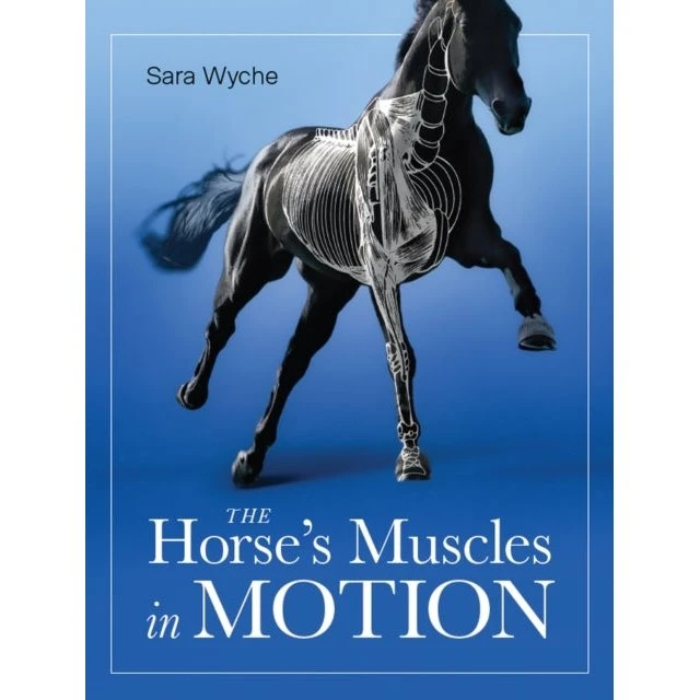Horse's Muscles in Motion - Sara Wyche (Paperback)