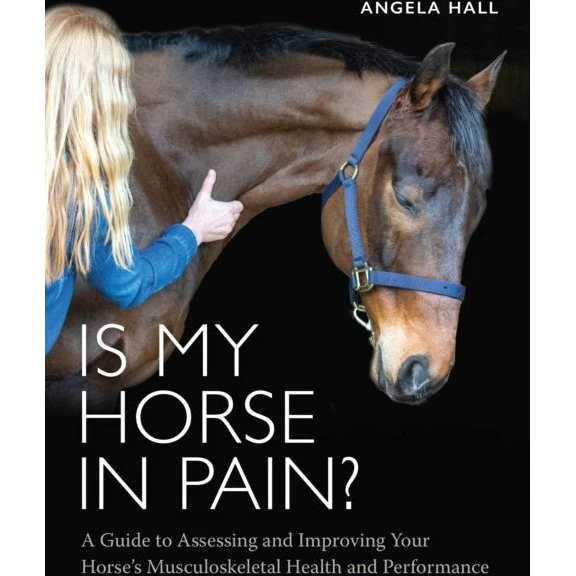 Is My Horse in Pain? - Angela Hall (Bog)