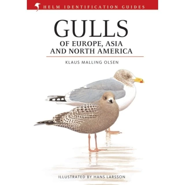 Gulls of Europe, Asia and North America - Klaus Malling Olsen