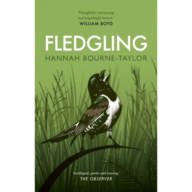 Fledgling - Hannah Bourne-Taylor
