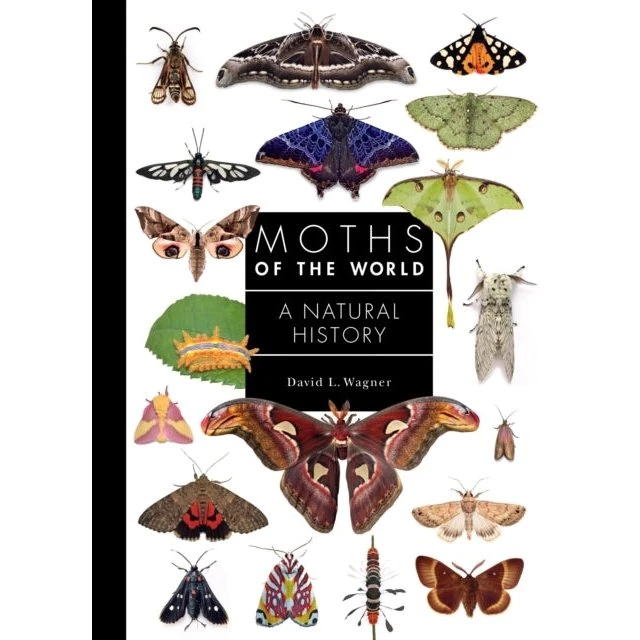 Moths of the World - David L. Wagner
