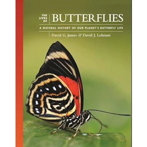 The Lives of Butterflies - David G. James & David J. Lohman (Bog)