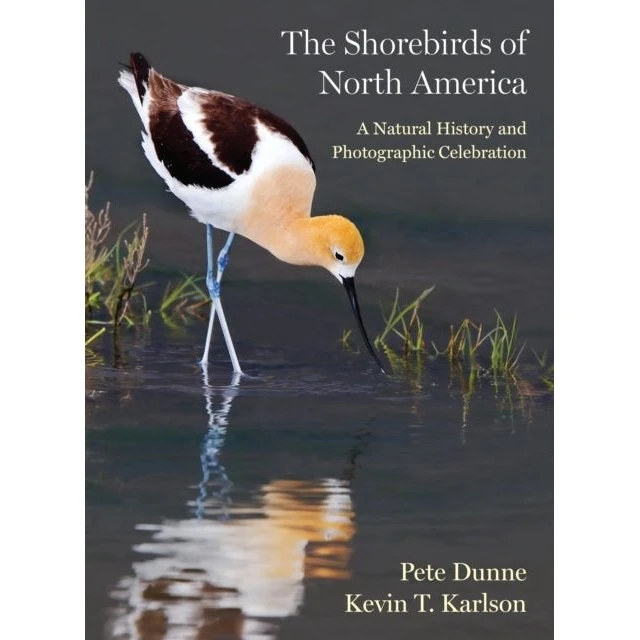 The Shorebirds of North America - Pete Dunne & Kevin T. Karlson