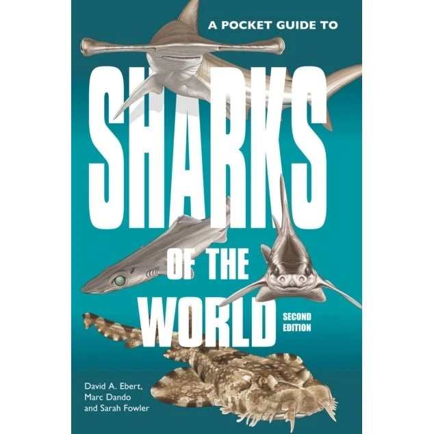 A Pocket Guide to Sharks of the World - David A. Ebert