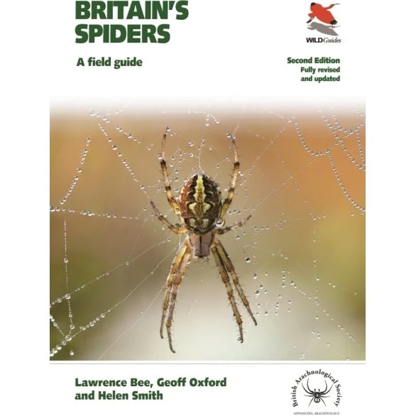 Britain's Spiders - Helen Smith, Geoff Oxford & Lawrence Bee